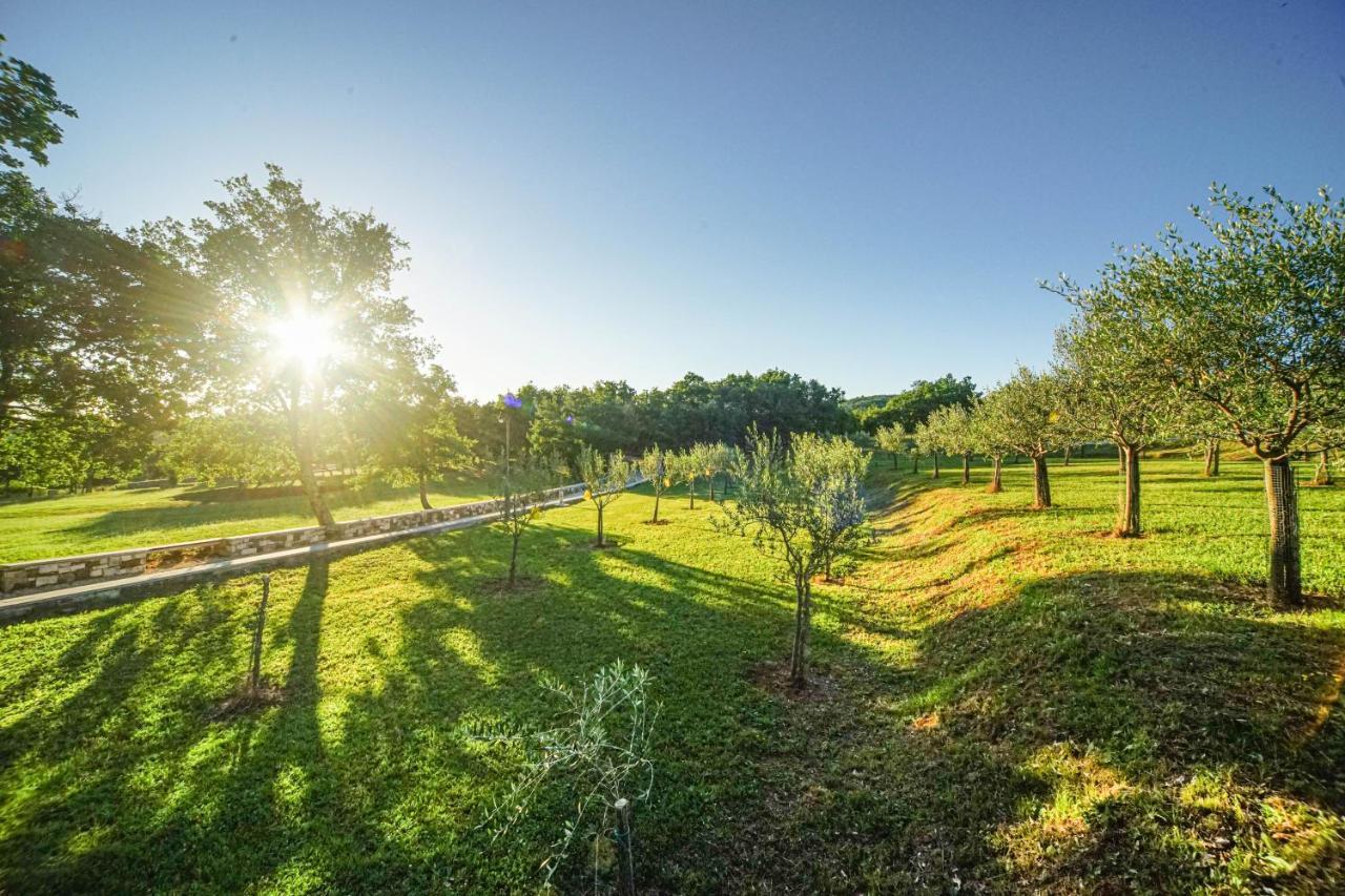 Bed and Breakfast Stancija Ruseti Oprtalj Zewnętrze zdjęcie