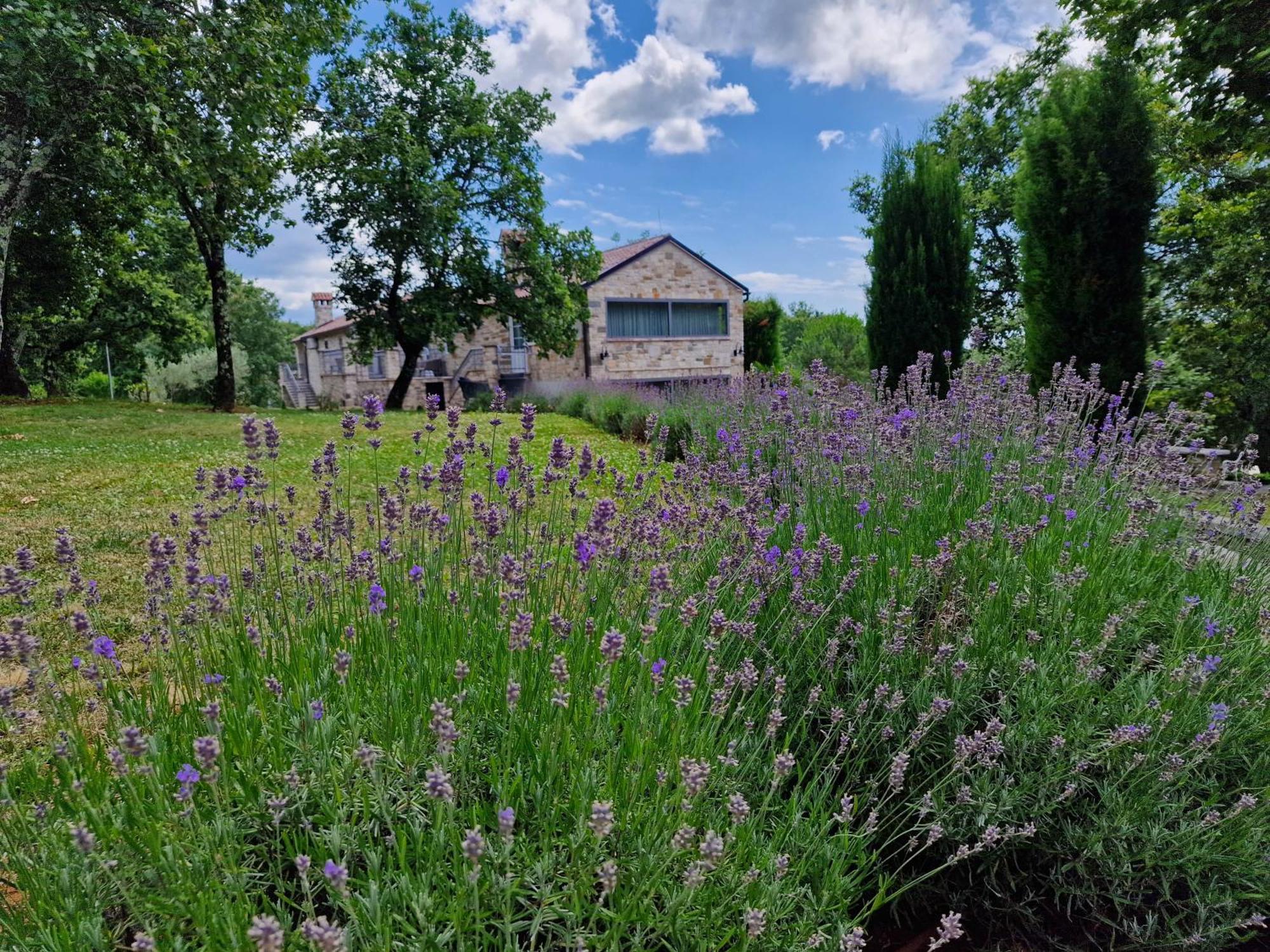 Bed and Breakfast Stancija Ruseti Oprtalj Zewnętrze zdjęcie