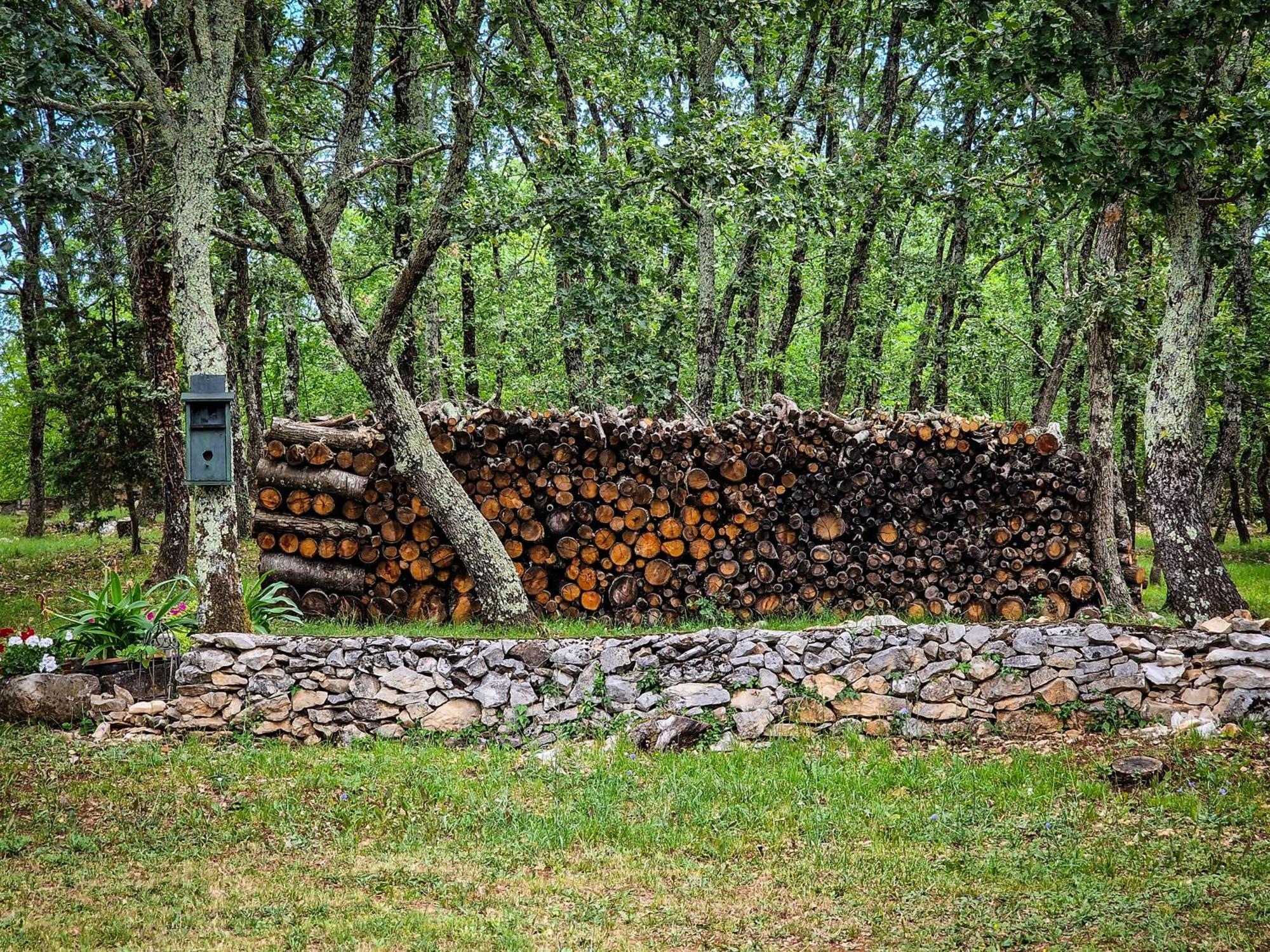 Bed and Breakfast Stancija Ruseti Oprtalj Zewnętrze zdjęcie