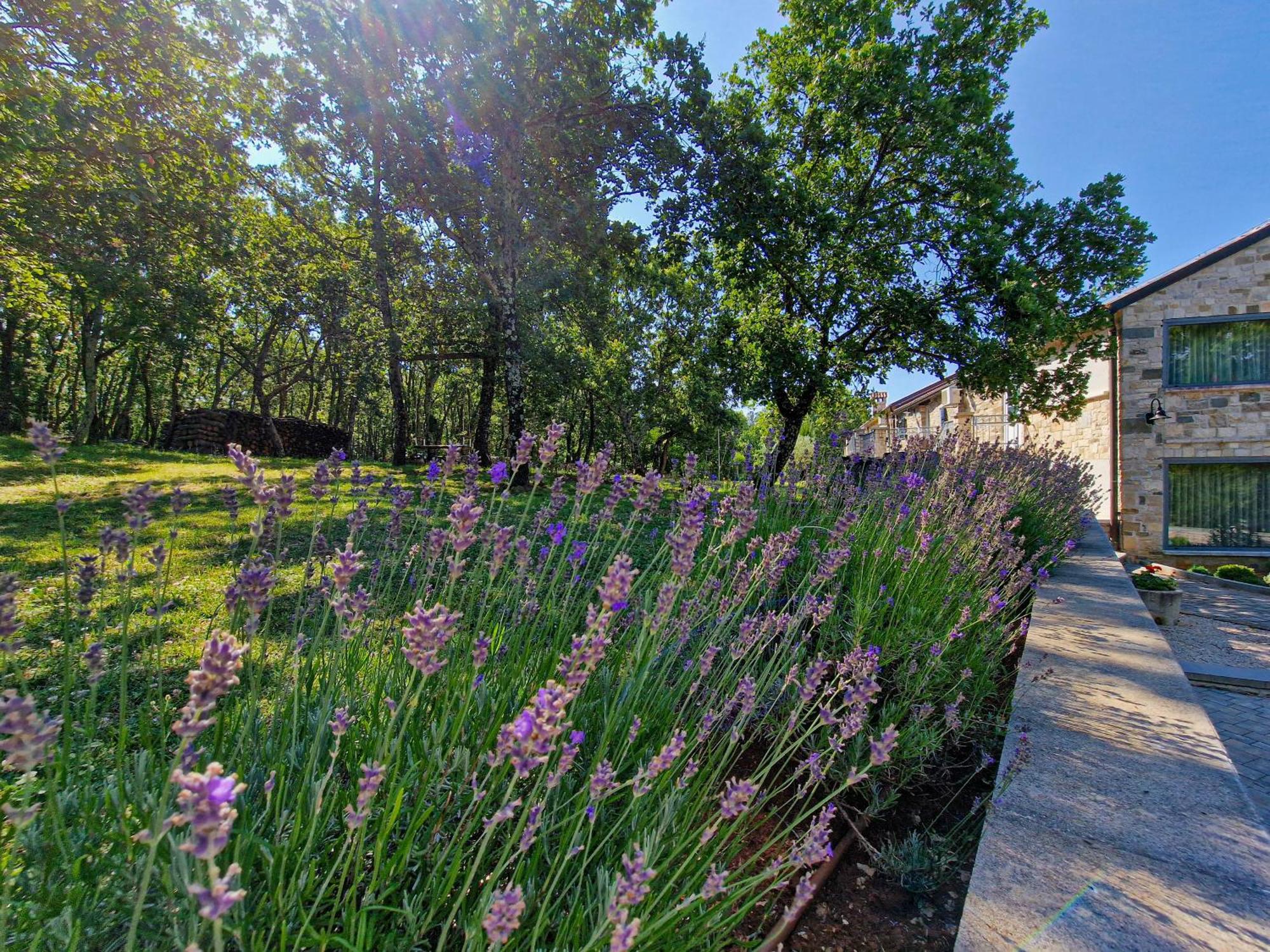 Bed and Breakfast Stancija Ruseti Oprtalj Zewnętrze zdjęcie