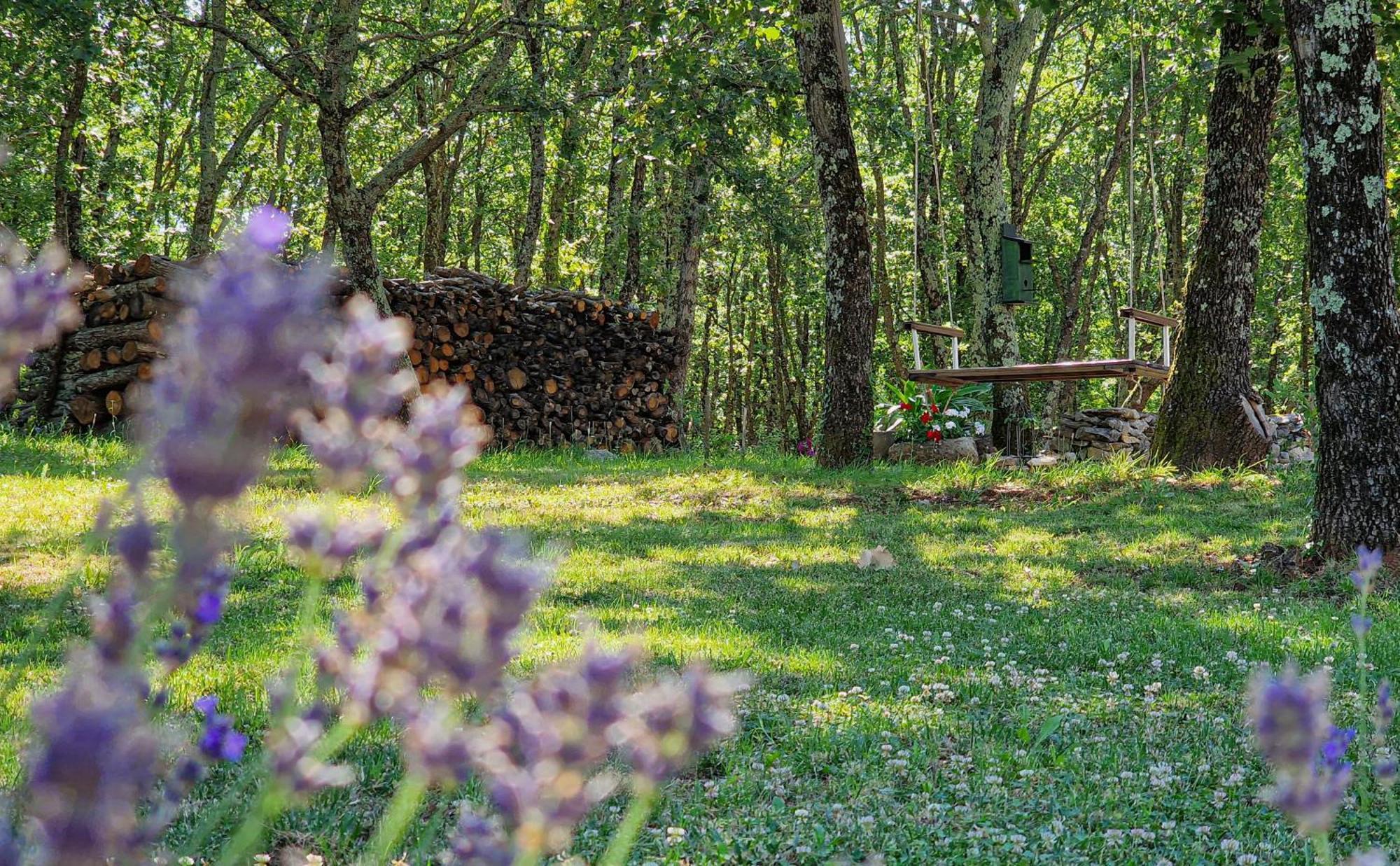 Bed and Breakfast Stancija Ruseti Oprtalj Zewnętrze zdjęcie